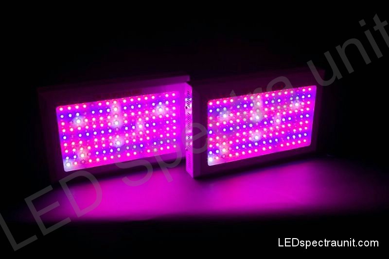 LED Spectra Unit 300 - outled