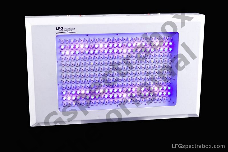 Led Flower Growlights, LFG spectrabox - 600 watt- outled